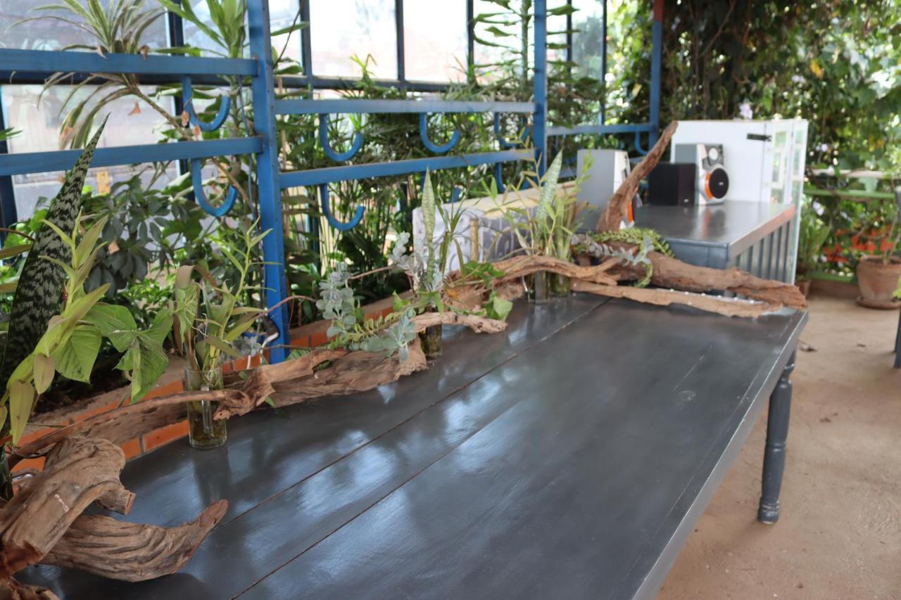 Umusambi B&B Kigali Luaran gambar